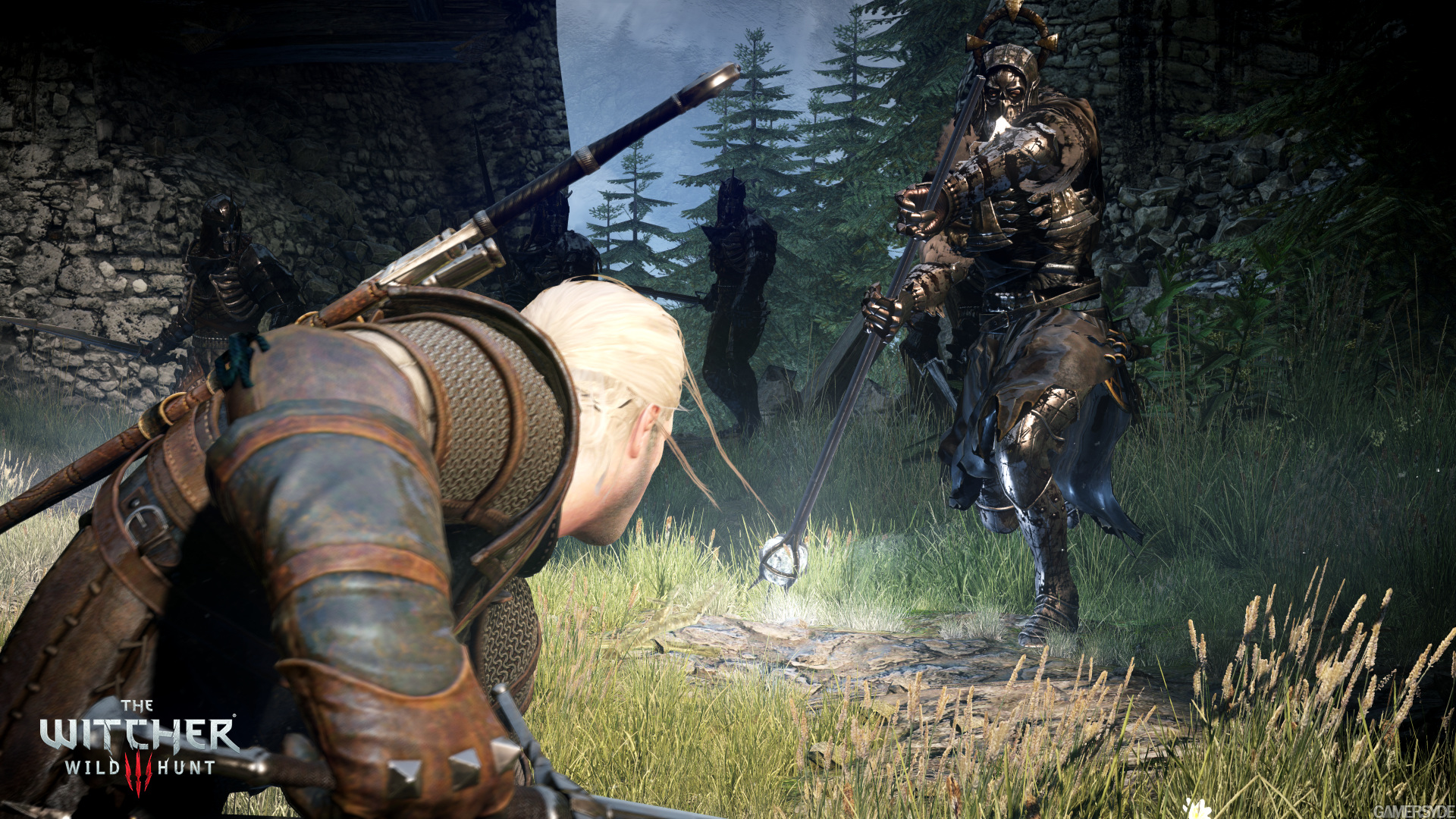 image_the_witcher_3_wild_hunt-1