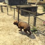 gta-v-peyote-plant