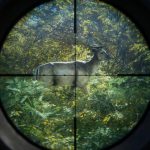 The Hunter and The Hunter Call of the Wild