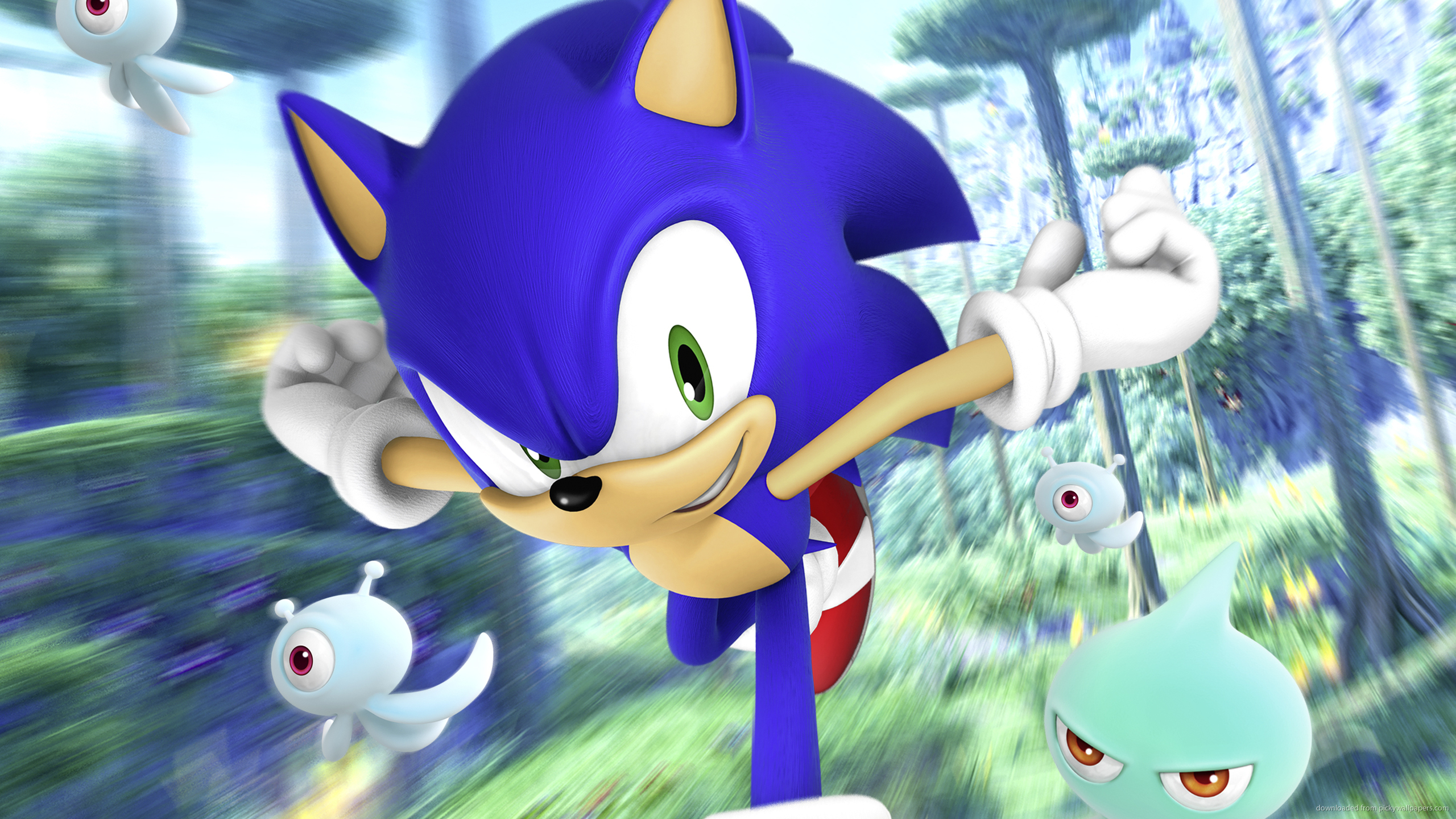 Hedgehog Sonic