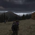Dayz