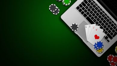 springbok casino review live slot play