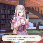 Atelier Lulua The Scion of Arland 2