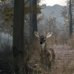 Pro Deer Hunting 2