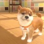 littlefriendsdogsandcats-rev0-672×379.jpg