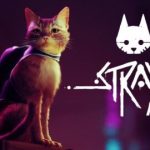 stray game