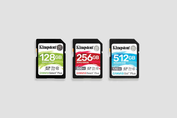 Best Nintendo Switch accessories