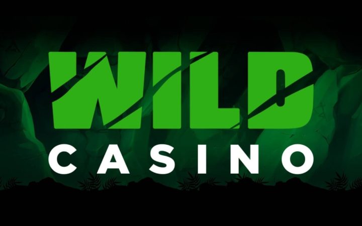 Wild Casino Top 10 Slot Games — Review & Rankings