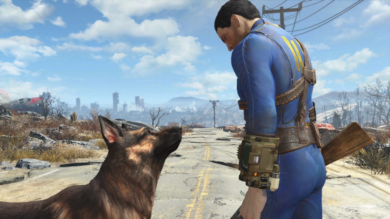 The player looking at their dog in Fallout 4